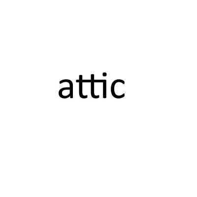 logo Attic (USA)